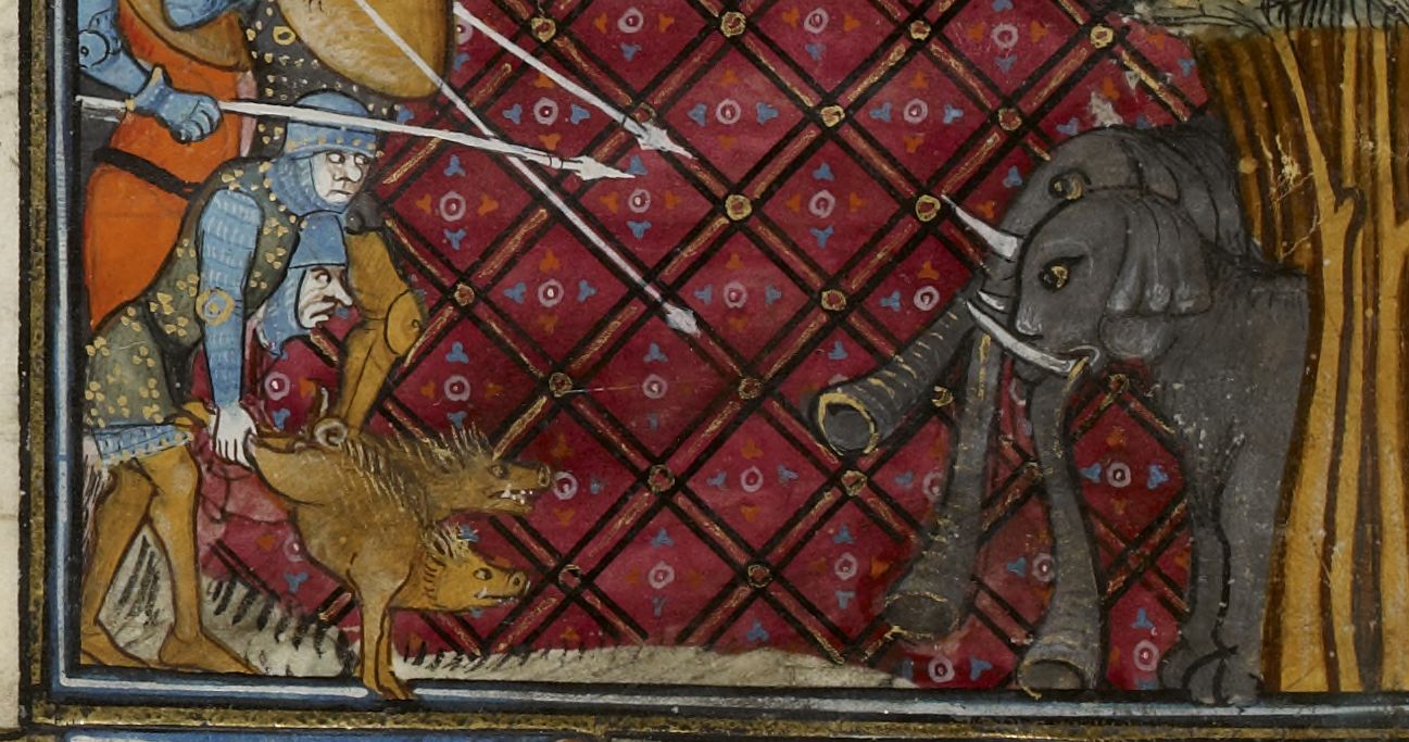 elephants vs pigs gallica